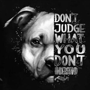 Meet your Posher, Chad